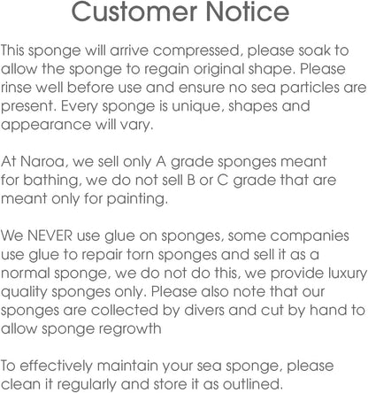 Naroa Shower Sponge — Natural Exfoliation for Healthy, Radiant Skin - Tampa Home & Garden Store