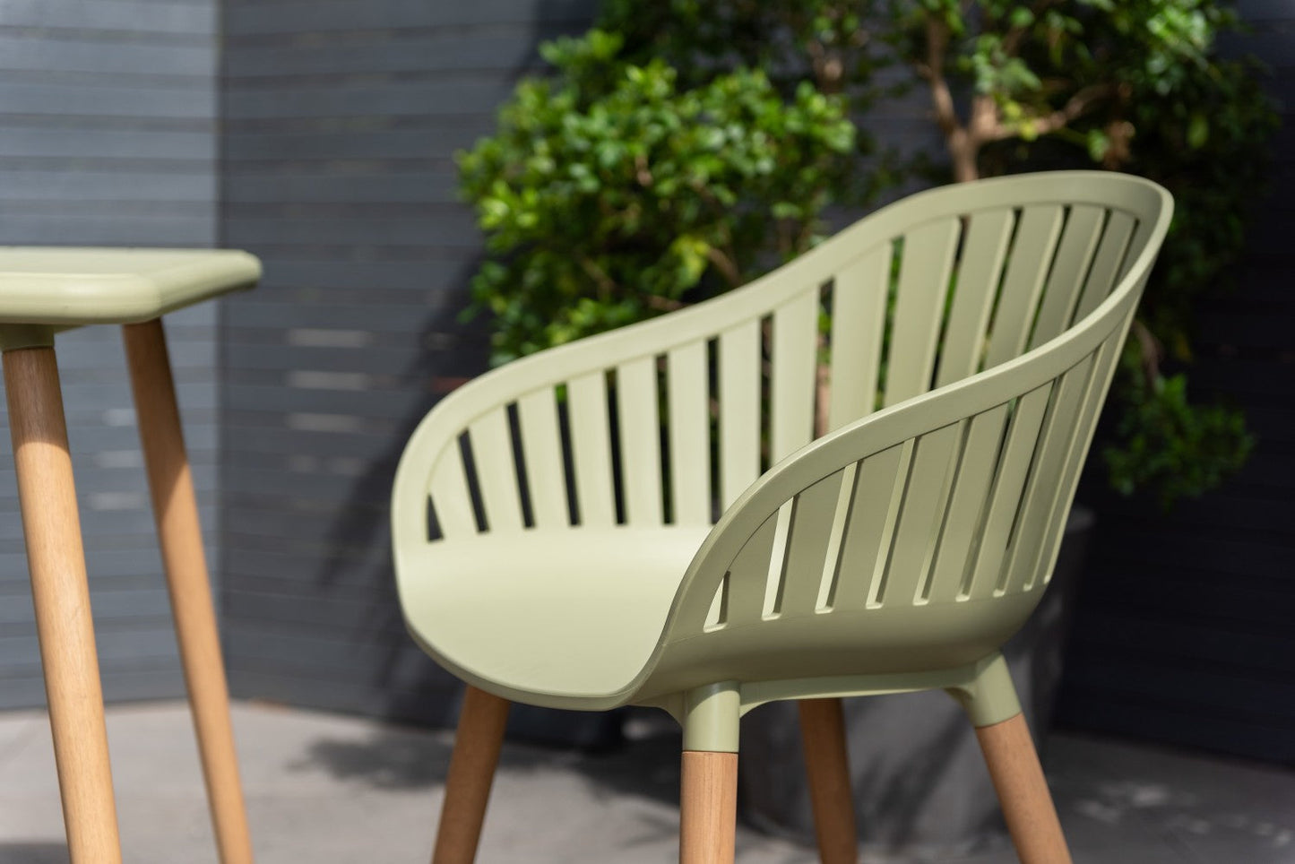 Nassau Carver Armchair in Sage Green Social Plastic®, outdoor chair with curved slat back and wooden legs, 2pc on Tampa Home & Garden Store