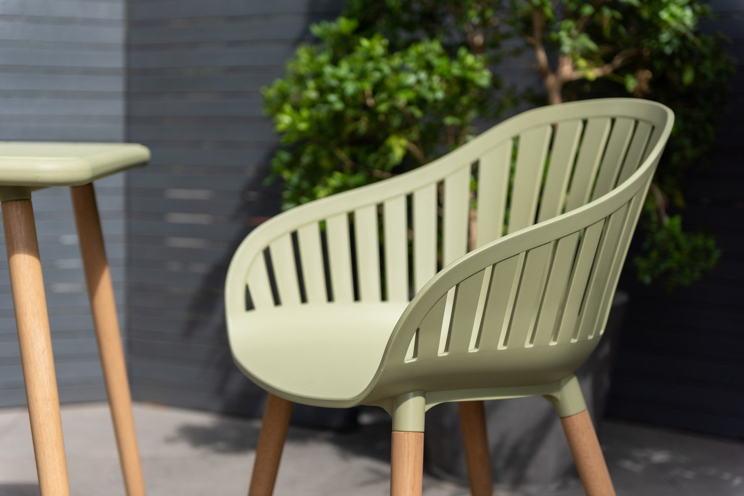 Nassau Carver Armchair in Sage Green Social Plastic®, outdoor chair with curved slat back and wooden legs, 2pc on Tampa Home & Garden Store