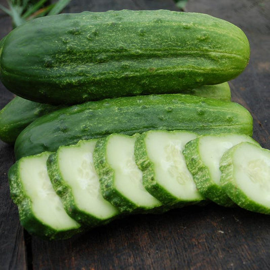 National Pickling Cucumber Seeds (Organic) - Tampa Home & Garden Store