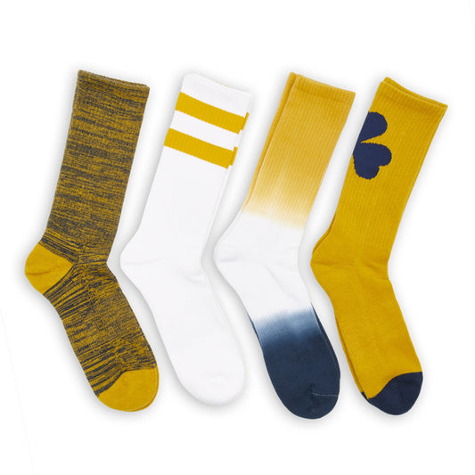 DeadSoxy Navy Gold Mixed Socks 8 Pack team colorways in gold, white, navy and heather grey on Tampa Home & Garden Store