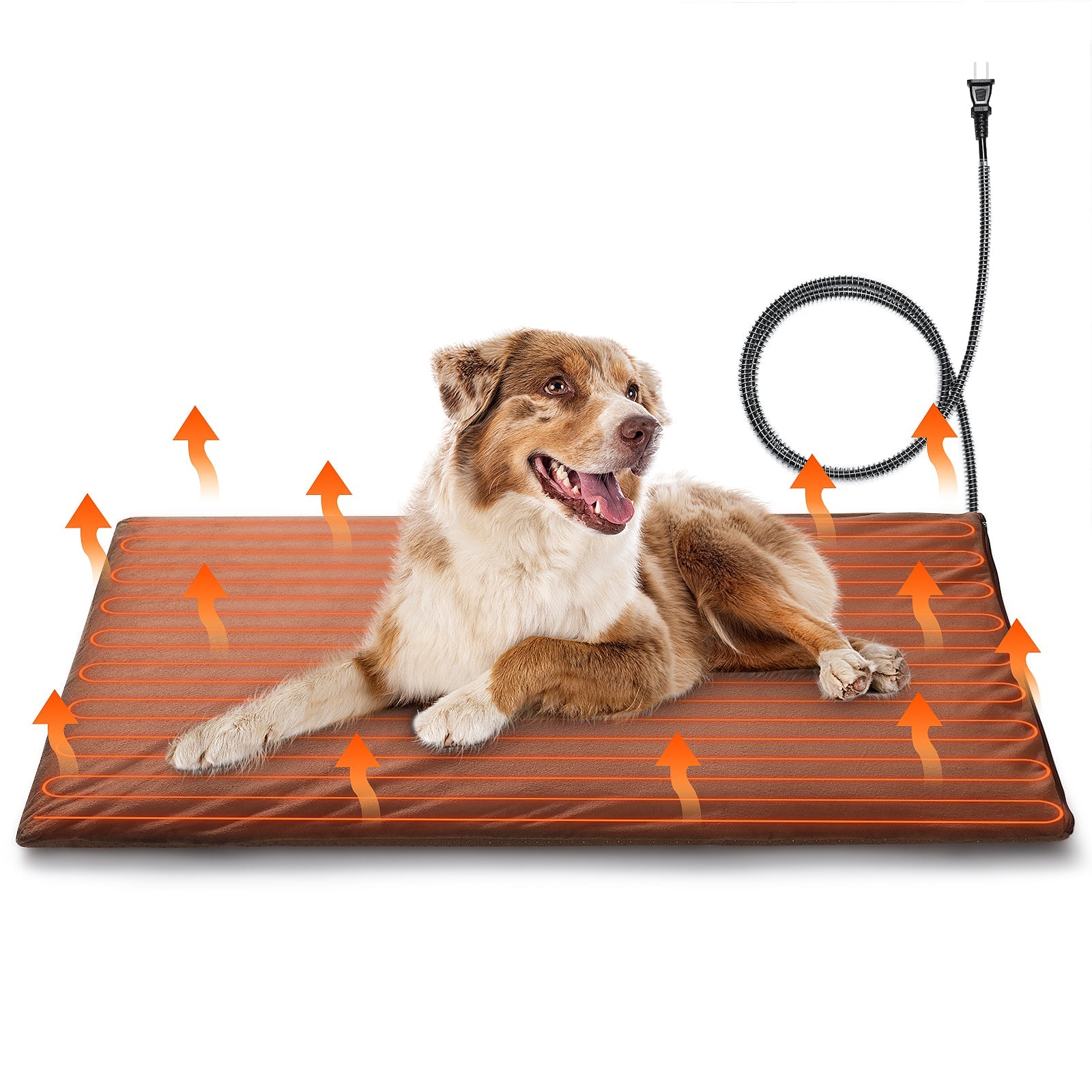 Neighborhood Outdoor Pet Heating Pad - Tampa Home & Garden Store