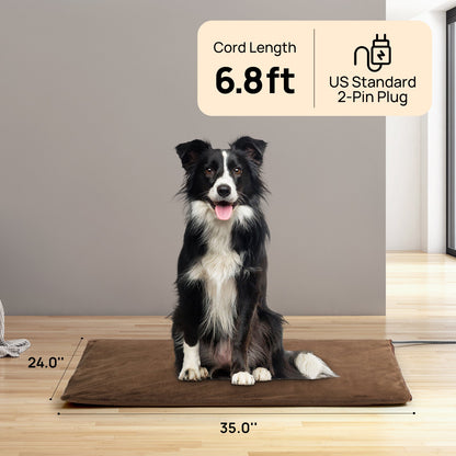Neighborhood Outdoor Pet Heating Pad - Tampa Home & Garden Store