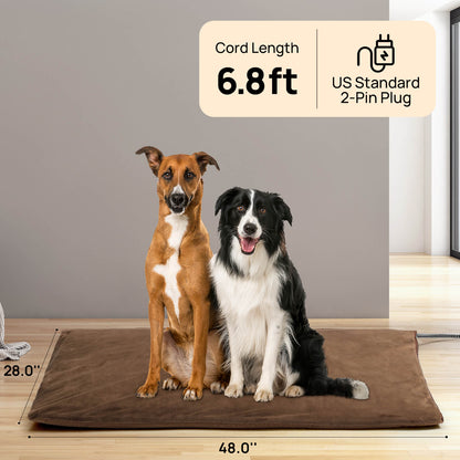 Neighborhood Outdoor Pet Heating Pad - Tampa Home & Garden Store