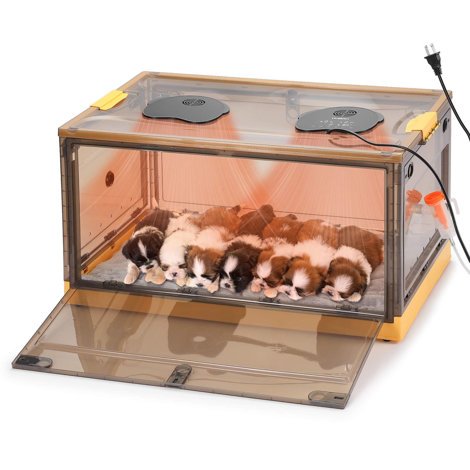 Neighborhood Pet Incubator, Grey Translucent - Tampa Home & Garden Store