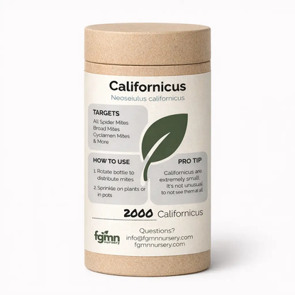 Neoseiulus Californicus spider mite predator treatment bottle by FGMN Nursery pest control on Tampa Home & Garden Store