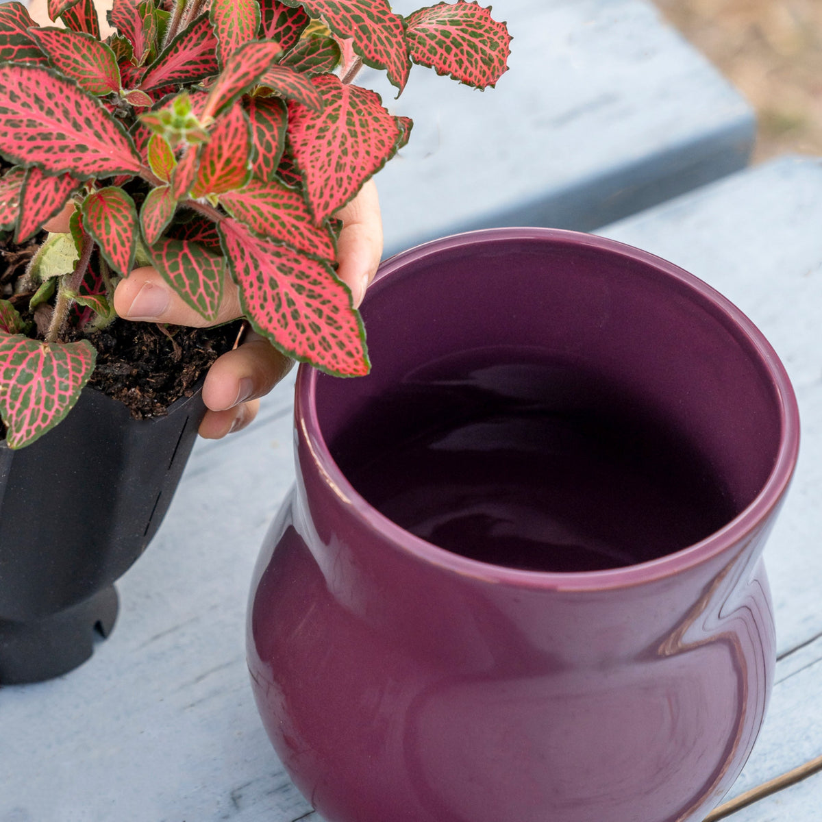 Ceramic plant pot with rubber liner in violet purple for indoor use on Tampa Home & Garden Store