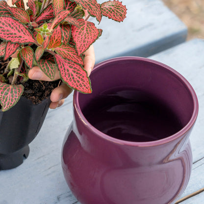 Ceramic plant pot with rubber liner in violet purple for indoor use on Tampa Home & Garden Store