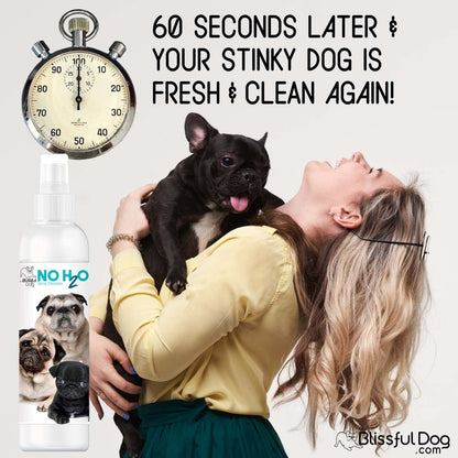 No H20 Spray Pet Shampoo - Tampa Home & Garden Store
