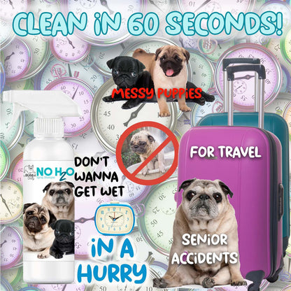 No H20 Spray Pet Shampoo - Tampa Home & Garden Store