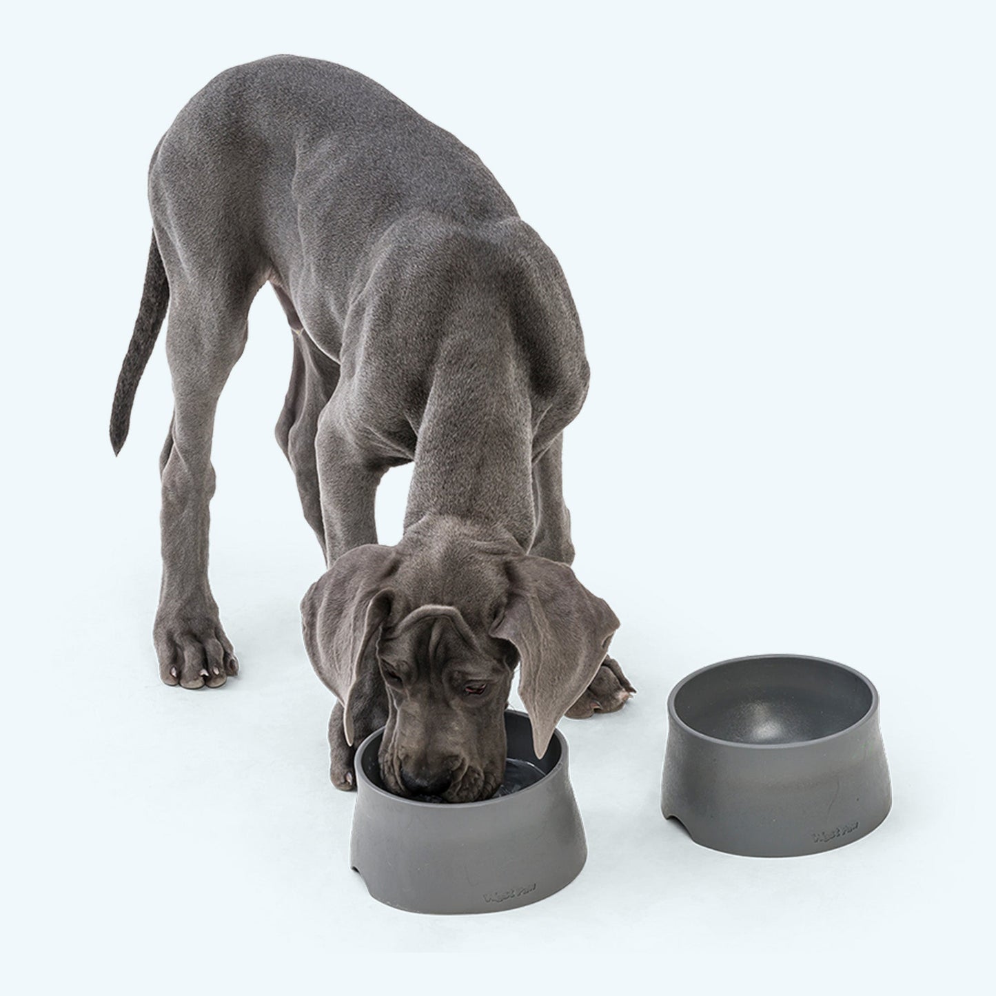 Non-Slip Dog Bowl Mess-Free Feeding Time