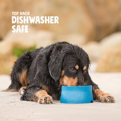 Non-Slip Dog Bowl Mess-Free Feeding Time
