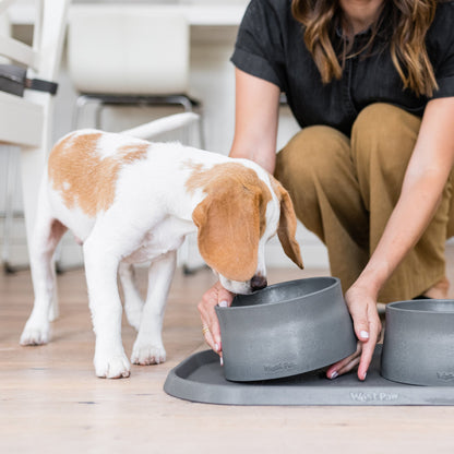 Non-Slip Dog Bowl Mess-Free Feeding Time