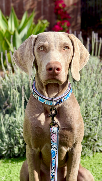 The Blossom Leather Dog Leash by Halter Ego® with blue floral pattern and metal hardware on Tampa Home & Garden Store
