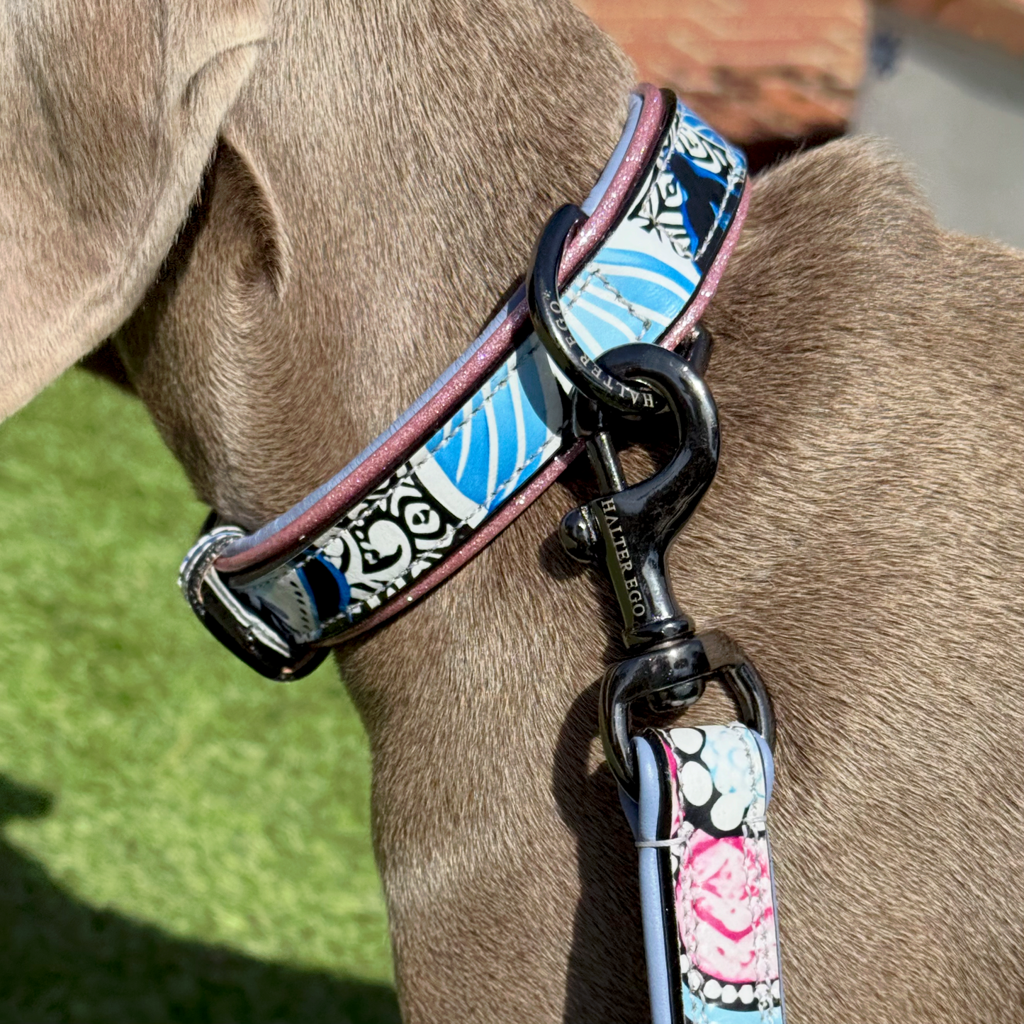 The Blossom Leather Dog Leash by Halter Ego featuring blue floral strap and metal clip on Tampa Home & Garden Store