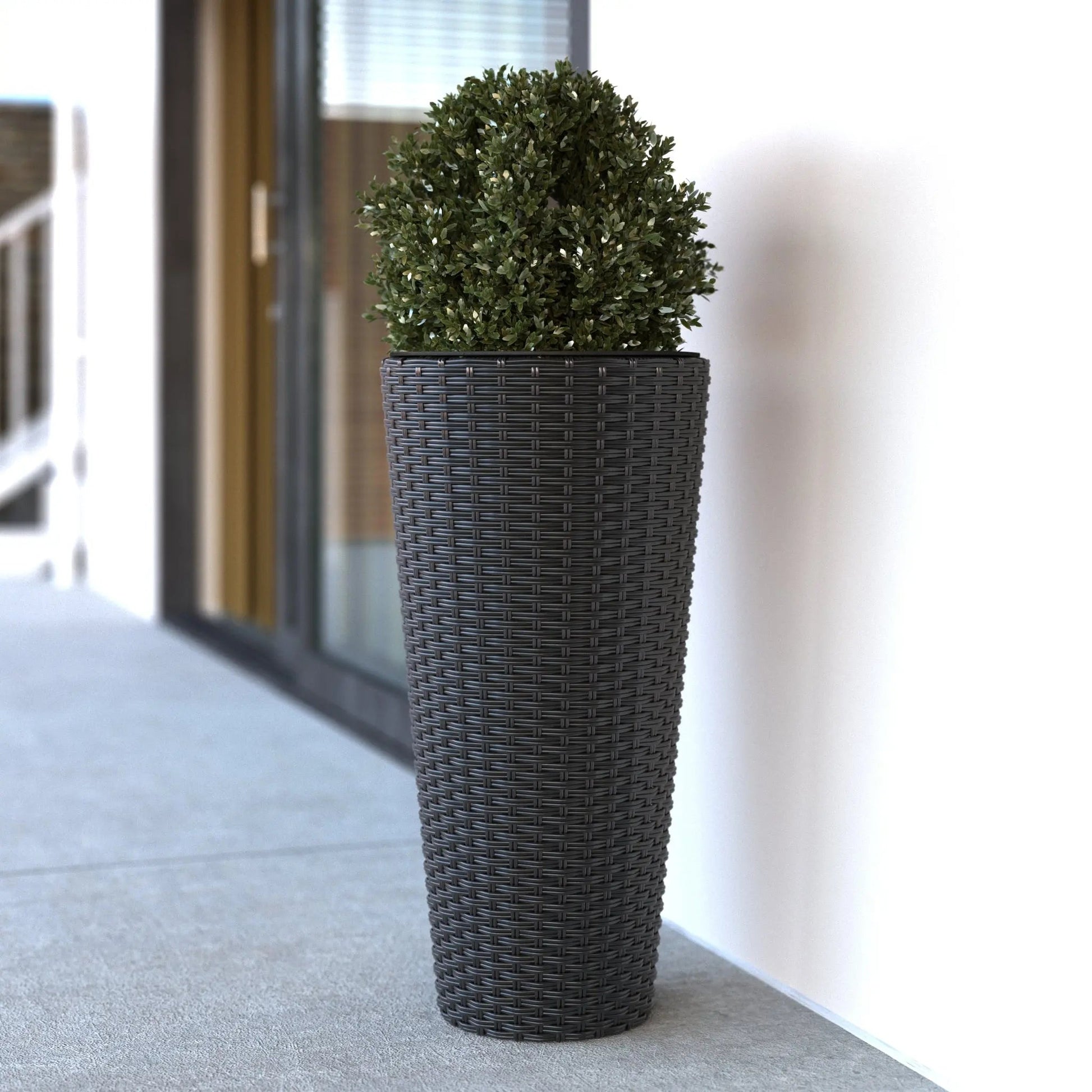 Noah Round Wicker Planter 2-piece Set in Black with lush green topiary for outdoor spaces on Tampa Home & Garden Store