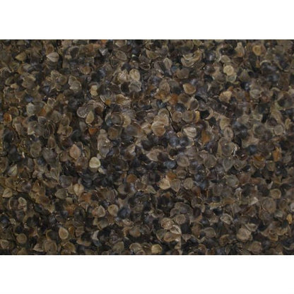Almohada japonesa de trigo sarraceno orgánico de 14 x 20 pulgadas