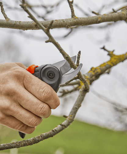 Garden Secateurs ExpertCut by Gardena gray ergonomic pruning shears cutting a branch on Tampa Home & Garden Store