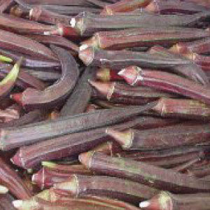 OKRA Seeds, Red Burgundy - Tampa Home & Garden Store