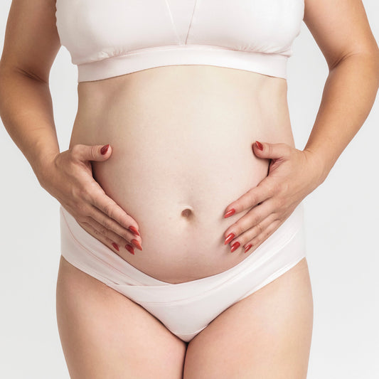 Maternity brief pale pink organic cotton underwear by Net Positive on Tampa Home & Garden Store