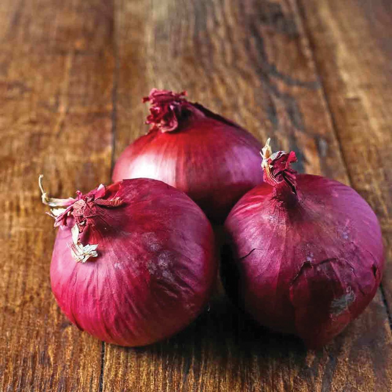 Red Wethersfield onion bulbs, three with deep red skins on a rustic wooden surface on Tampa Home & Garden Store
