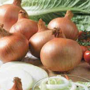 ONION Seeds, Yellow Sweet Spanish - Tampa Home & Garden Store