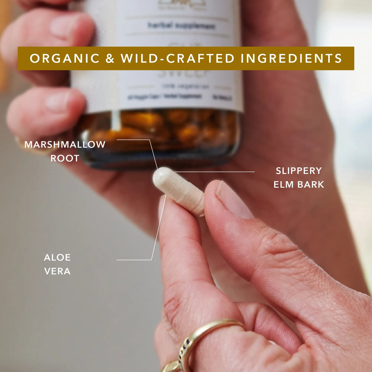 OWL Venice supplement bottle with amber pills and organic ingredients overlay on Tampa Home & Garden Store
