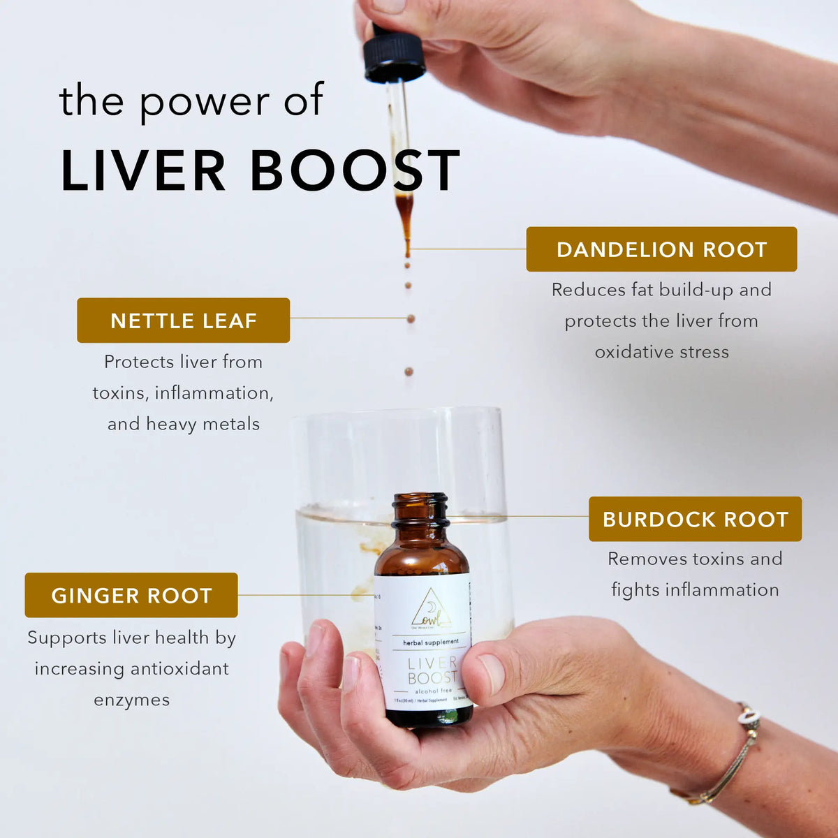 OWL Venice Liver Boost kit with dropper bottle and dandelion, burdock, ginger, nettle on Tampa Home & Garden Store