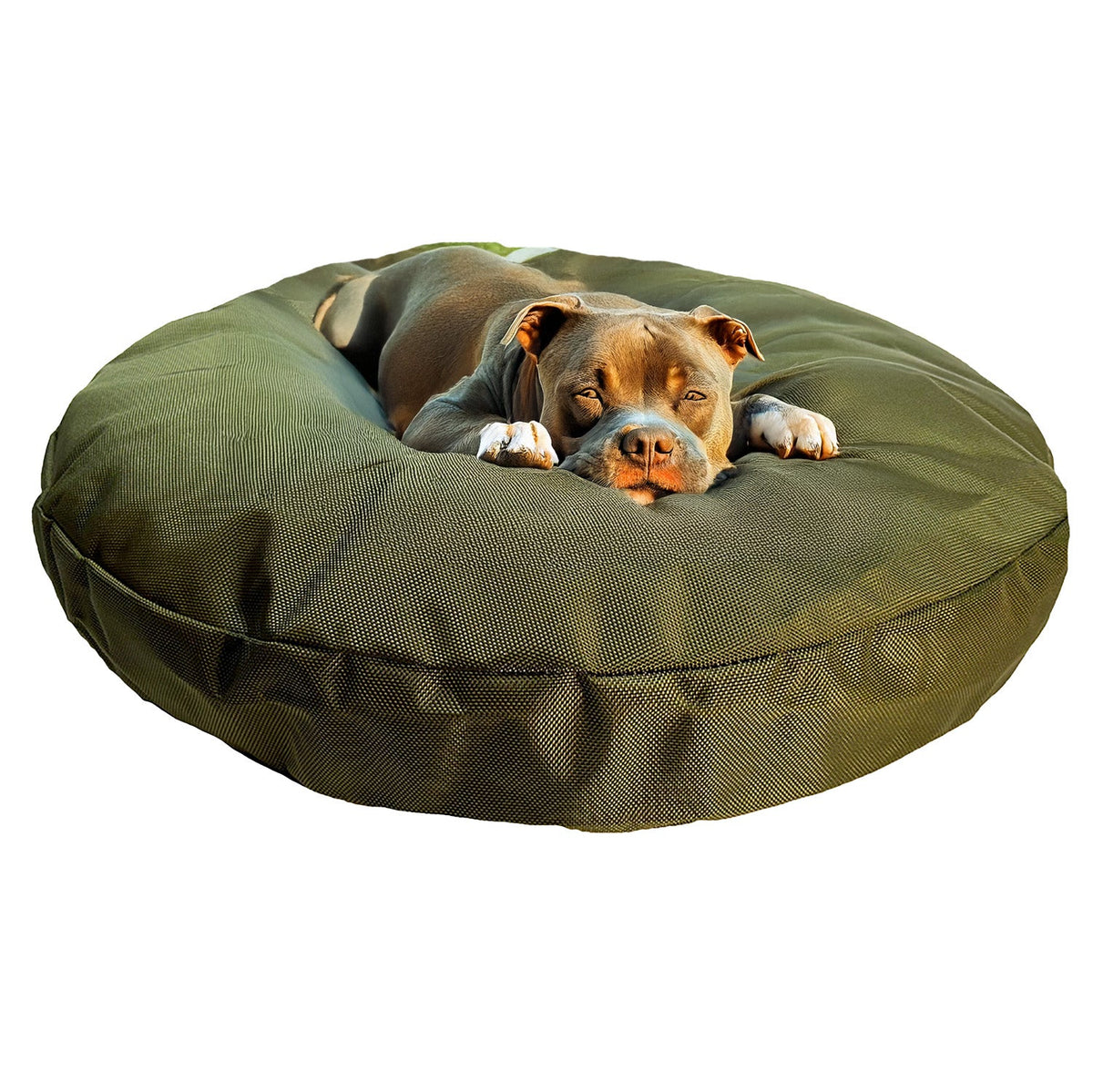 Round Armor Dog Bed olive green fabric by American Dog on Tampa Home & Garden Store