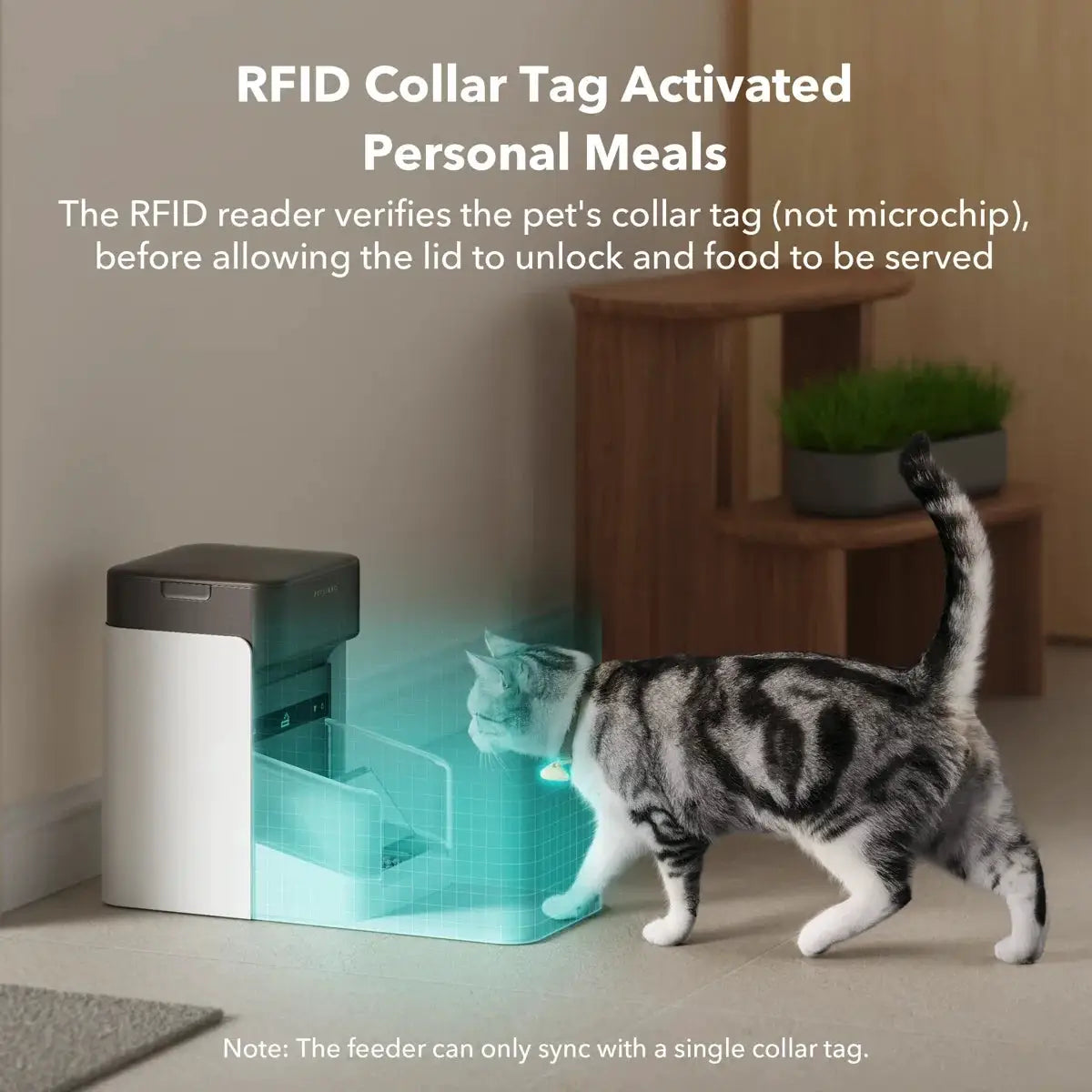 RFID automatic pet feeder by Max & Rex in white with dark lid; cyan light as cat approaches on Tampa Home & Garden Store