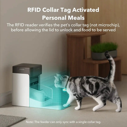 RFID automatic pet feeder by Max & Rex in white with dark lid; cyan light as cat approaches on Tampa Home & Garden Store