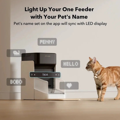 RFID smart pet feeder by The Max & Rex Collection, black with beige accents, app-controlled on Tampa Home & Garden Store
