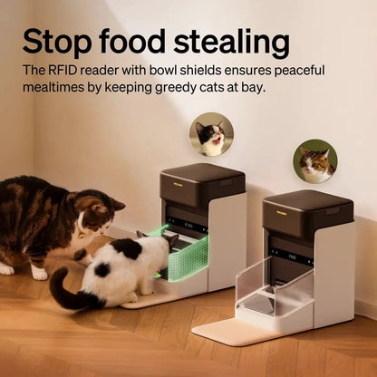 RFID automatic smart feeder by The Max & Rex, dual cream-brown units, appcontrolled on Tampa Home & Garden Store