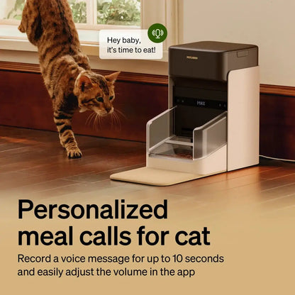 RFID automatic smart feeder for pets from The Max & Rex Collection by Petlibro, app-controlled on Tampa Home & Garden Store