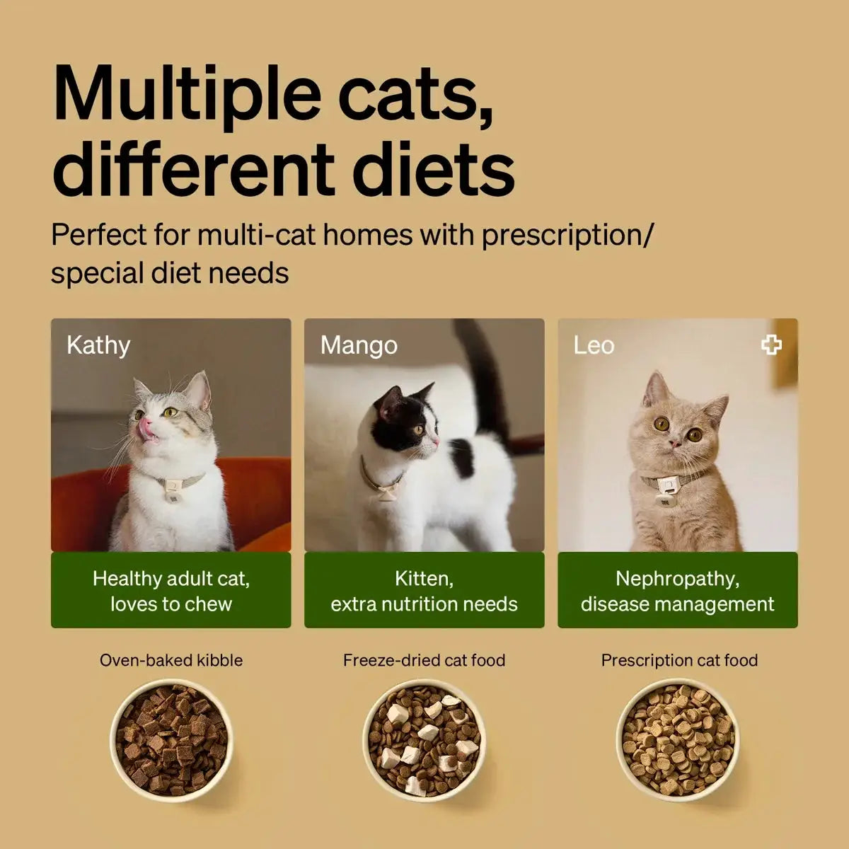 RFID automatic smart feeder for pets by The Max & Rex Collection, app controlled for multi-cat on Tampa Home & Garden Store