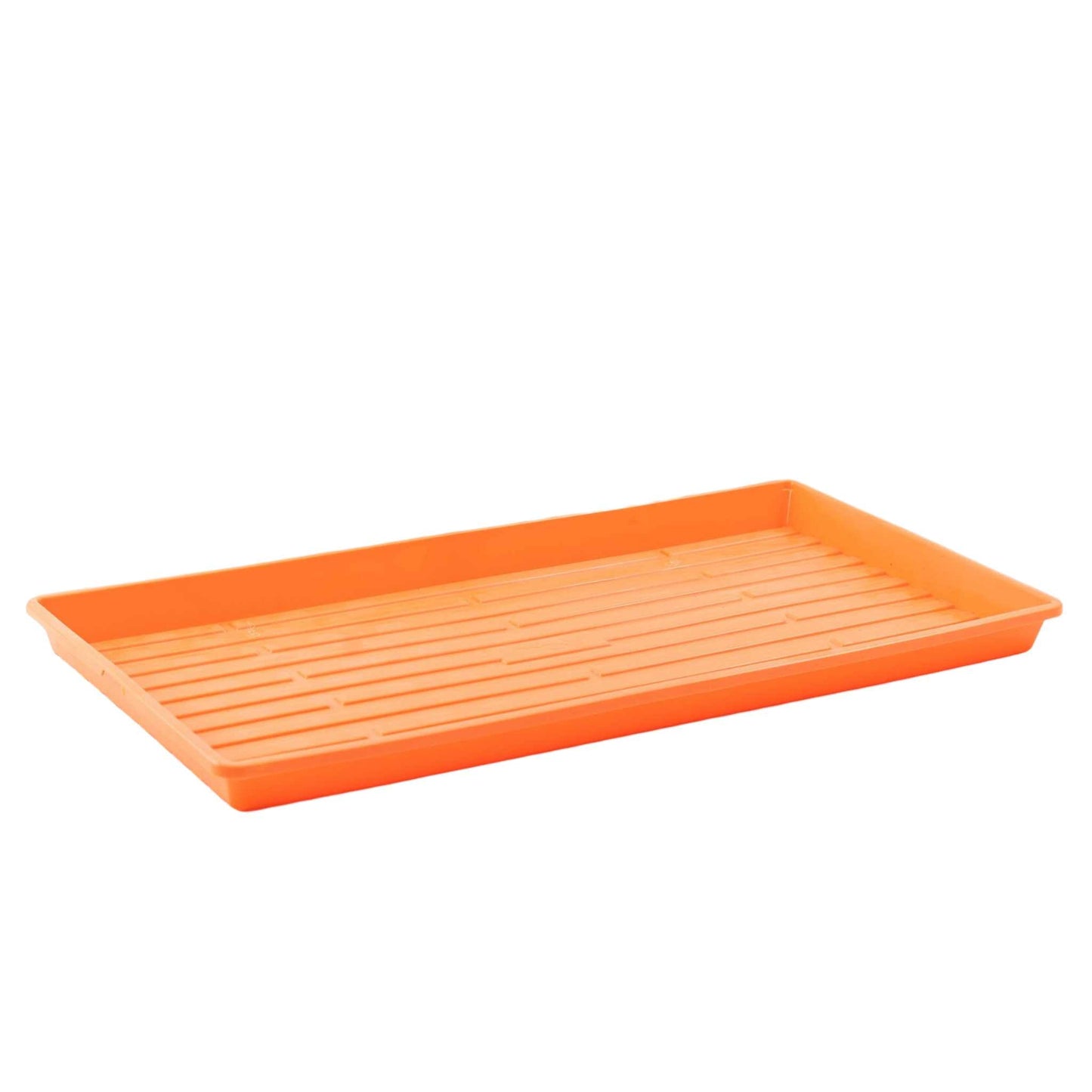 1020 plateaux Microgreen - Couleurs extra-fortes peu profondes