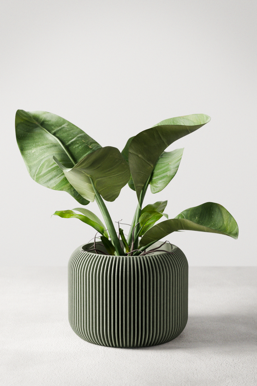 Orbis Planter - Tampa Home & Garden Store