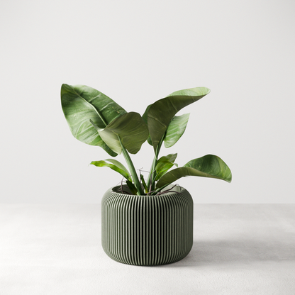 Orbis Planter - Tampa Home & Garden Store