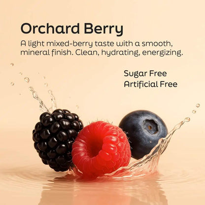 Electrolyte supplement Root'd Orchard Berry flavor with blackberry, raspberry and blueberry on Tampa Home & Garden Store