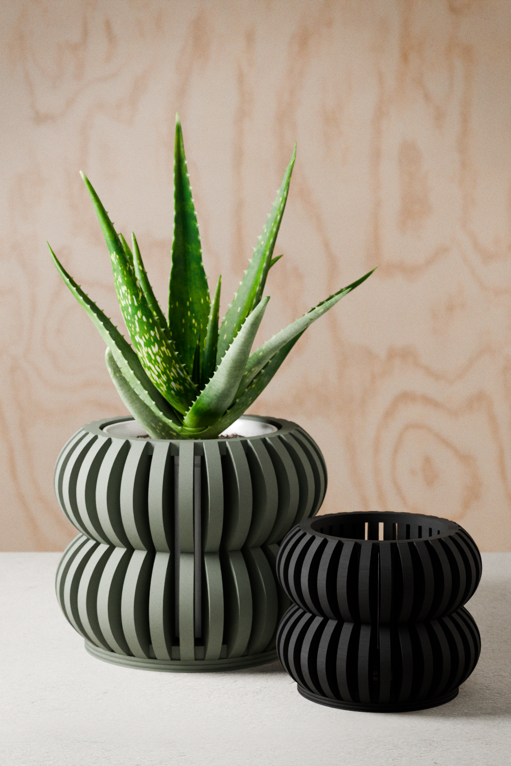 Orchid Planter DOUBLE BUBBLES - Tampa Home & Garden Store