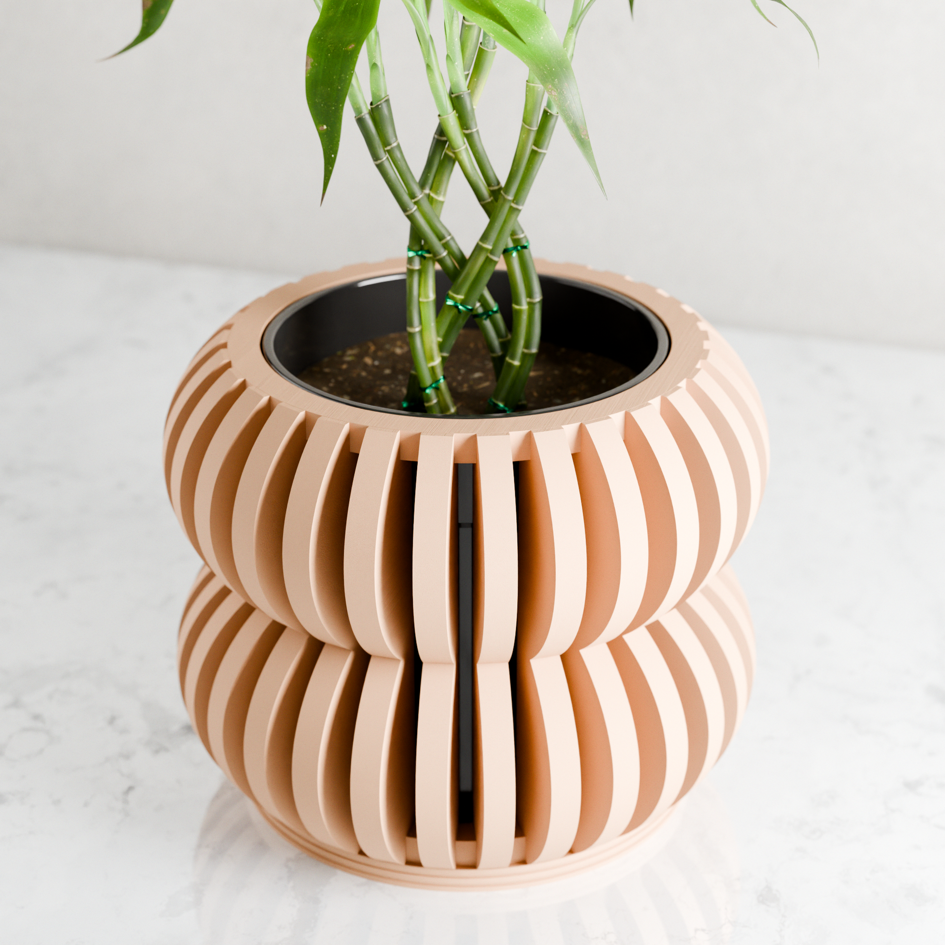 Orchid Planter DOUBLE BUBBLES - Tampa Home & Garden Store