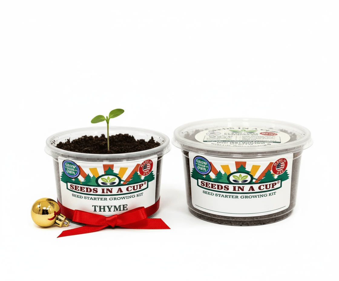 Oregano Grow Kit - Tampa Home & Garden Store