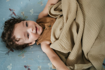 Organic Bamboo Cotton Muslin Crib Sheet in Dreamy Planes - Tampa Home & Garden Store