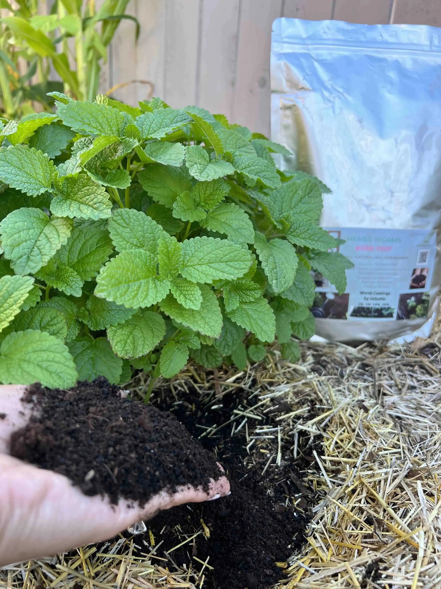 Organic Fertilizer - Worm Castings for GrowOya - Tampa Home & Garden Store