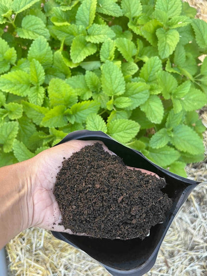 Organic Fertilizer - Worm Castings for GrowOya - Tampa Home & Garden Store
