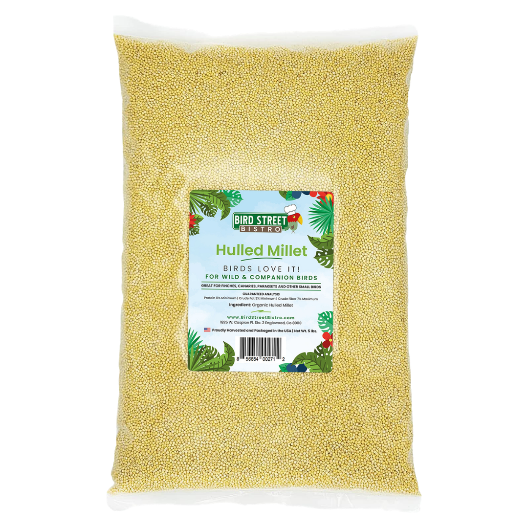 Organic Hulled Millet - 5 lbs. - Tampa Home & Garden Store