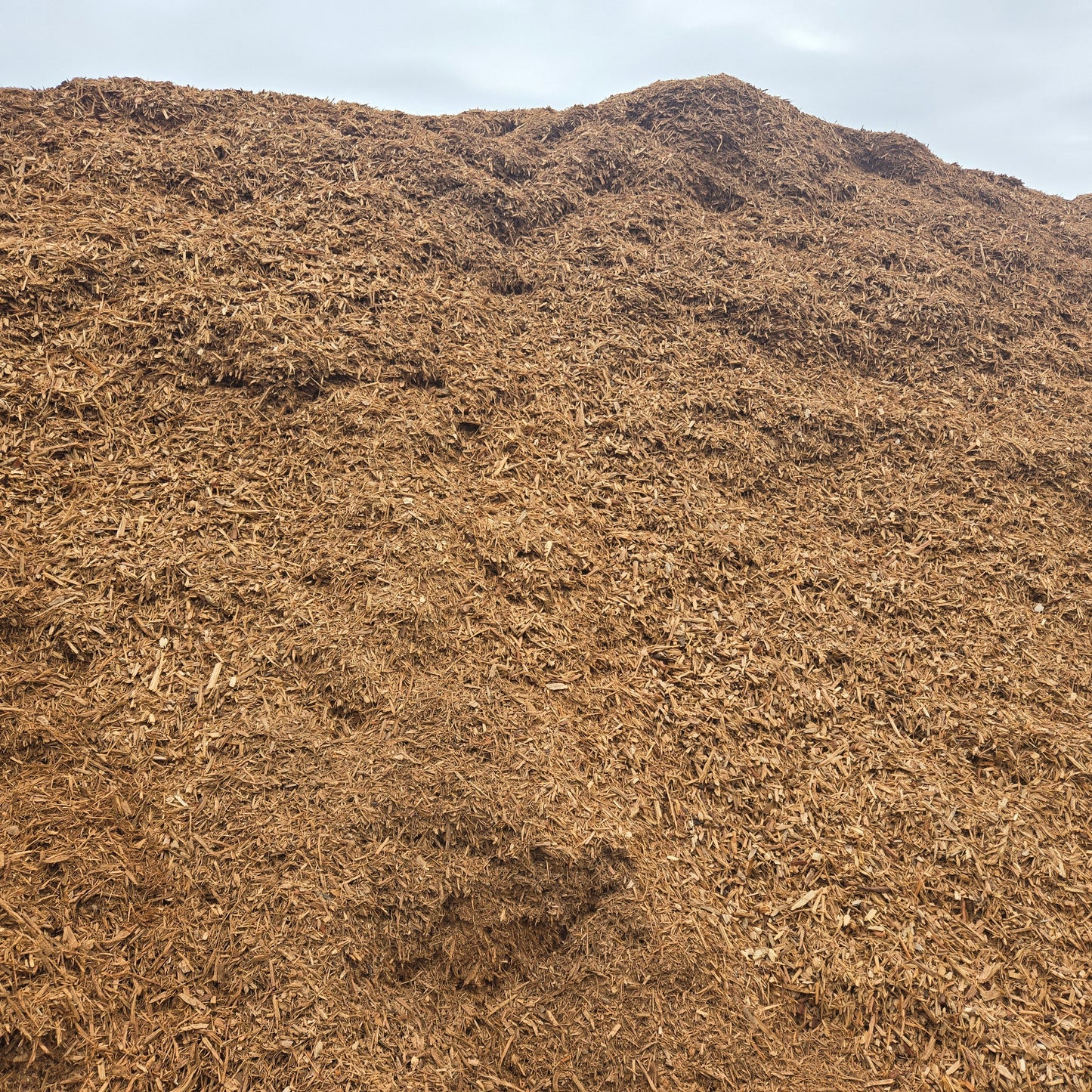 Organic Mulch near Tampa Natural Mulch Bulk - Tampa Home & Garden Store