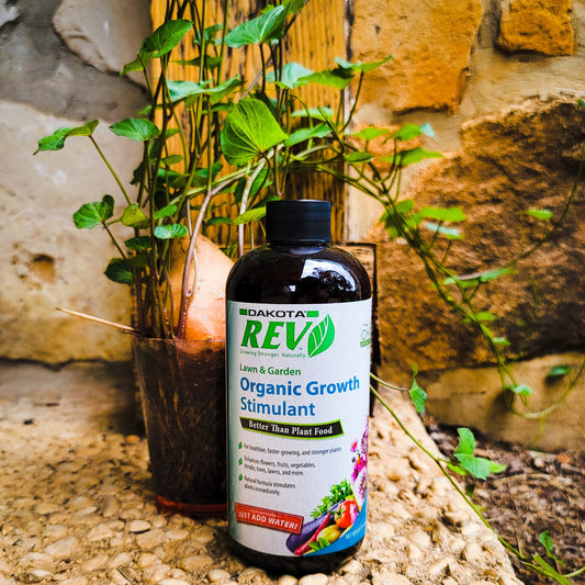 Organic REV Liquid Plant Food 16 oz Bottle - Tampa Home & Garden Store