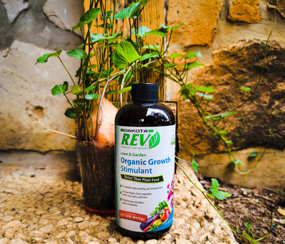 Organic REV Liquid Plant Food 16 oz Bottle - Tampa Home & Garden Store