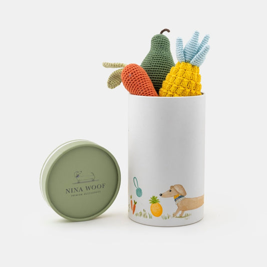 Organic Veggie Toys Bundle - Tampa Home & Garden Store